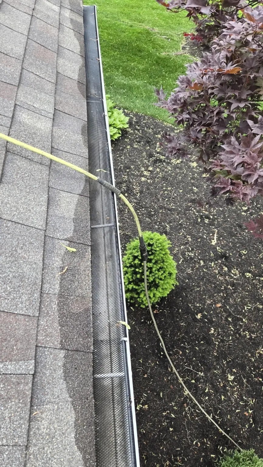 Black micro-mesh gutter guard beside an overhanging ornamental tree during CleanFlow service